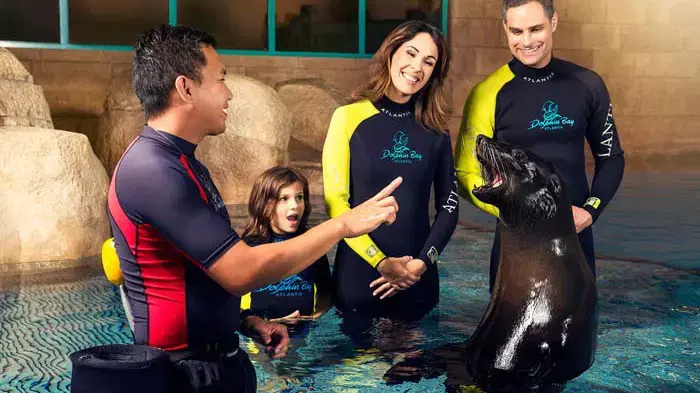   Dolphin Bay at Atlantis the Palm