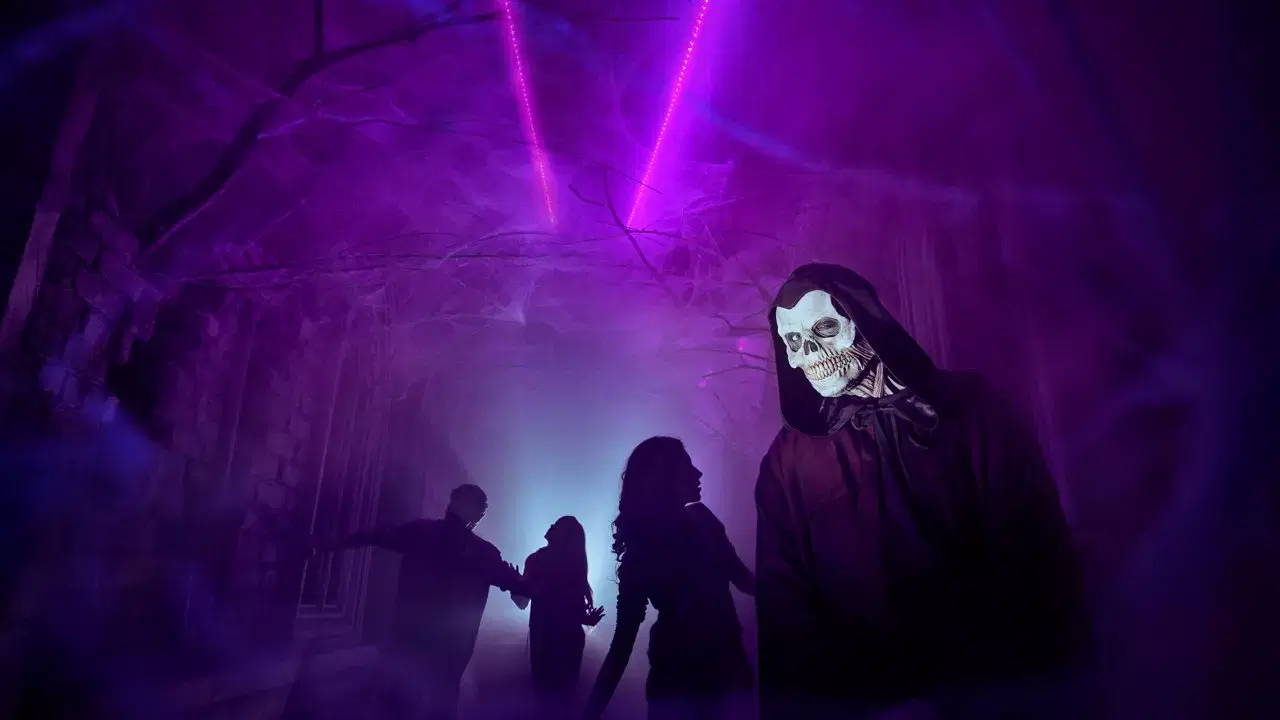 IMG Worlds of Adventure theme park