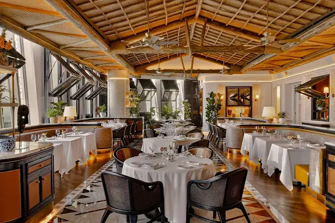 Lion in the Sun Dubai