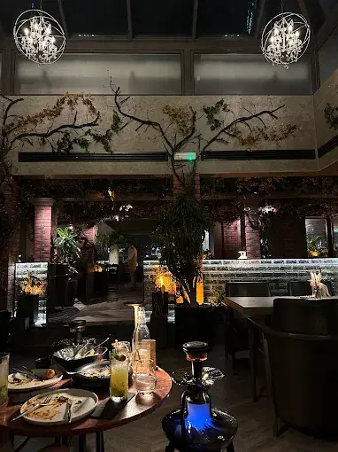 Savour - Best Shisha Lounge in Jumeirah