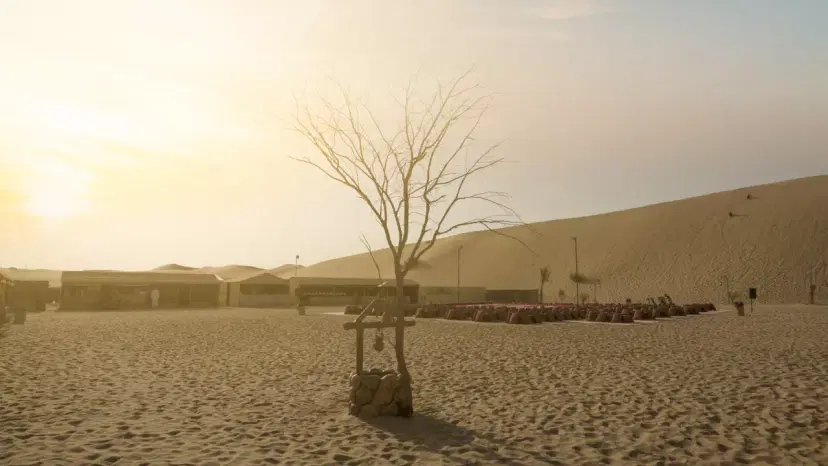 Desert Safari in Abu Dhabi